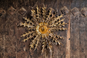 Eguzkilore, traditional decoration, protection for bad spirits