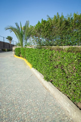 Road steps to the sea in nature in the park