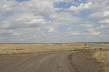 Fototapeta premium road in the field