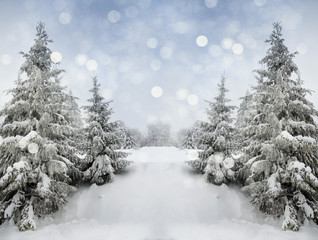 Beautiful winter landscape for the background, pine covered with snow, Christmas cards, Carpathian Mountains