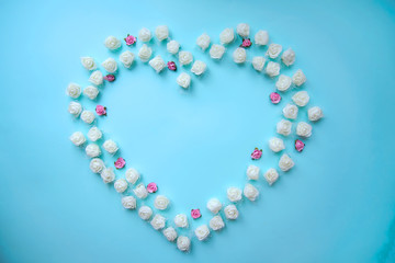 White and pink heart shaped roses on blue background