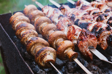 Marinated pieces of meat and mushrooms are grilled on charcoal s