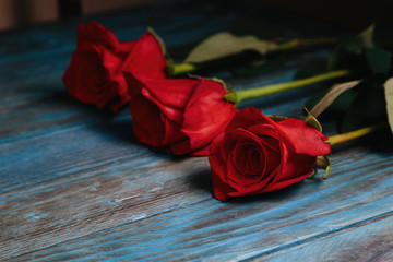 bouquet of red roses on a blue wooden background