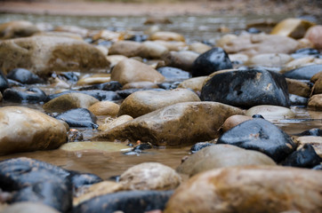 Stones and Rocks in River