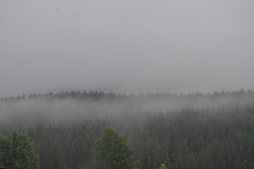 Obraz na płótnie Canvas fog over lake