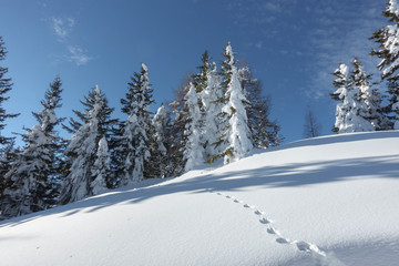 verschneite Winterlandschaft in Österreich