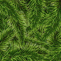Realistic natural Christmas tree branches background. Christmas and New Year card template. Vector illustration