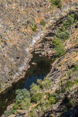 View of river Paiva, with vegetation around