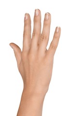 Raised Hand / Five Fingers