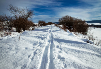country ski trail up the landscape