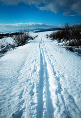 Fototapeta na wymiar winter snowy countryside long with cross country skiing