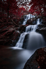 Fototapeta premium Dark Hallow Waterfall in Nature 
