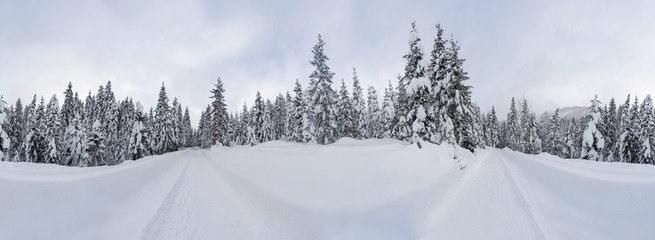 360 wide panoramic view of winter landscape with snow covered trees near Seefeld in the Austrian state of Tyrol. Winter in Austria