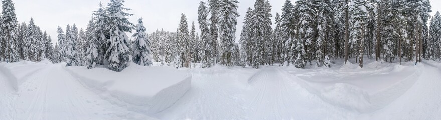 360 wide panoramic view of winter landscape with snow covered trees near Seefeld in the Austrian state of Tyrol. Winter in Austria