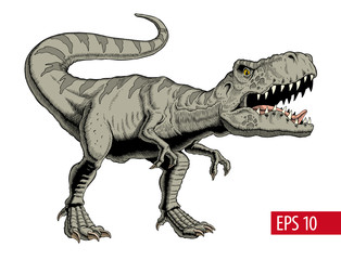 Tyrannosaurus rex or t rex dinosaur isolated on white. Comic style vector illustration.