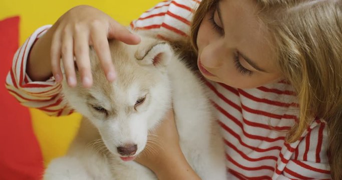 Portrait shot of the nice litte blonde girl sitting on the yellow couch and hugging small husky dog at home. Close up. Indoors.
