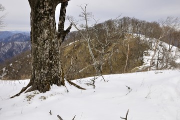 雪の熊笹ノ峰より大笄