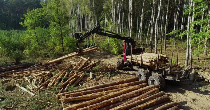 Timber loading, loading logs into a truck, timber processing, deforestation, timber loading with a claw