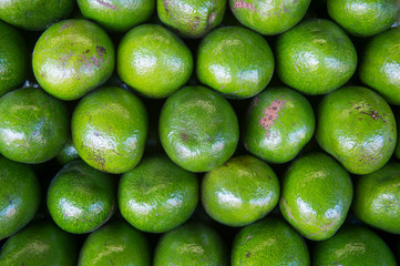 Stack of fresh shiny green avocados in a full frame close-up background