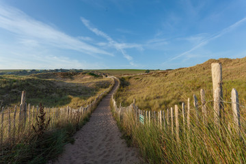 Fototapeta na wymiar South Devon Coastal Path