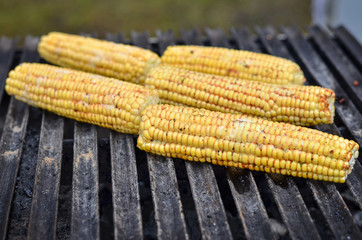 Sweet corn grilled or roasted on fire.