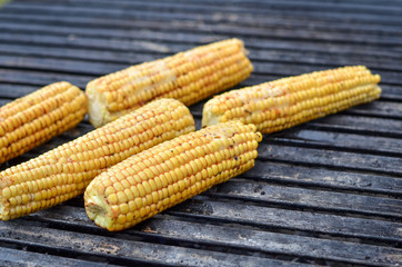 Sweet corn grilled or roasted on fire.