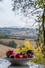 Lifestyle in the Italian countryside - pools, villa, panoramic scenes, and entertaining
