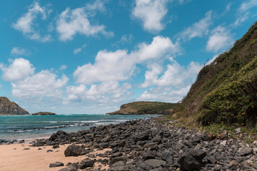 Fototapeta premium View of Praia do Sueste Beach - Fernando de Noronha, Pernambuco, Brazil