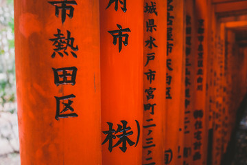 orange tori gates at Shinto shrine