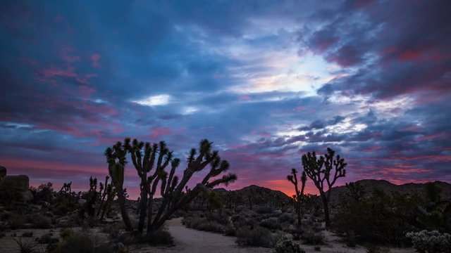 Timelapse of Epic Morning Glow in Joshua Tree National Park