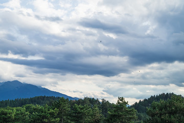 A typical natural landscape in the country of Brasov: green forest and mountains on the horizon under cloudy sky, Romania.