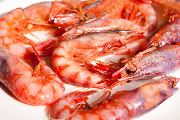 Close-up view of raw king prawns on a white plate
