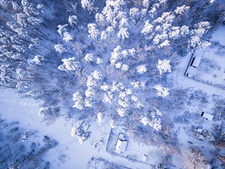 Fototapeta na wymiar Aerial view on winter forest. Top of the trees in snow after heavy snowfall. Snowy village and road.