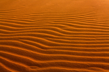 Dune in the desert, sculpted by the wind. Sand Texture.
