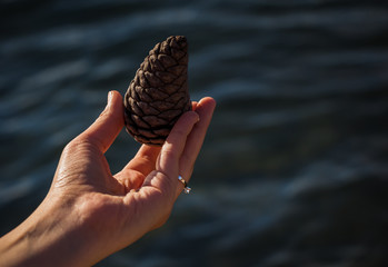 Hand with a ring holding a pine cone on sea background - 243951357