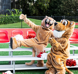 Two cougar mascots on small bleachers