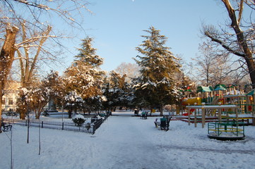 park in winter
