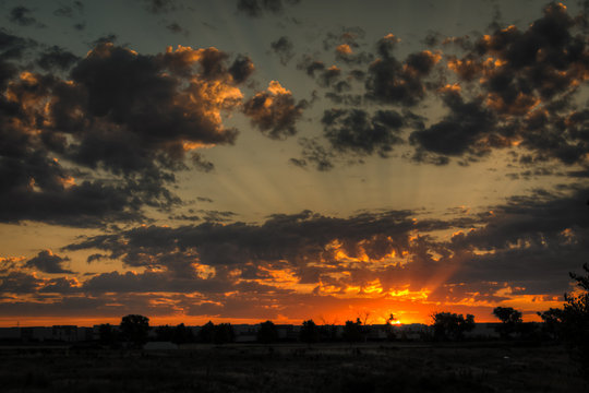Sun Rays 