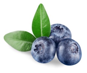 Blueberries with leaves on white background