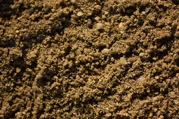 closeup of moon  sand