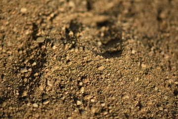 closeup of moon  sand