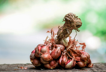 Bunch shallots harvest agriculture from vegetable garden