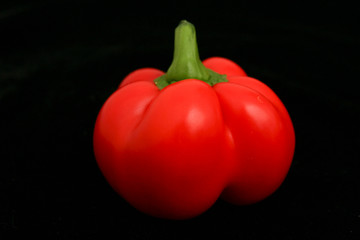 Red Bell Pepper
