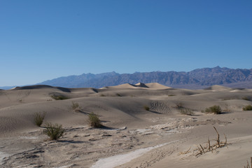 Fototapeta na wymiar Mesquite Flat Sand Dunes am Nachmittag, Tal des Todes, Kalifornien, USA
