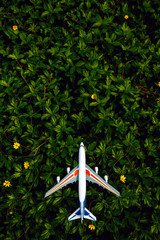 Flat lay design of travel concept with plane on background of green leaves of plants and flowers with copy space