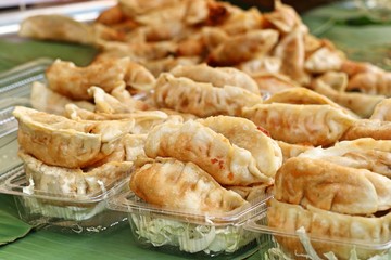 fried dumplings at street food