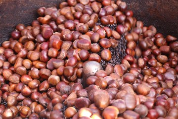 chestnuts seed at street food