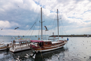 Fototapeta premium Gulls fly over fishing boats that stand at the pier in Istanbul, Turkey