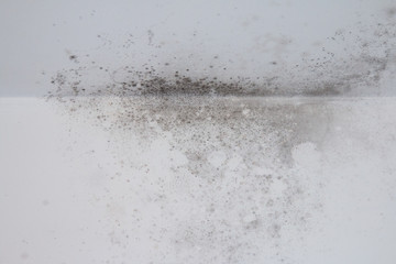 Mold on a white wall