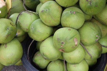 Coconut at street food